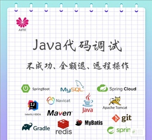 java代码调试bug修改项目运行指导讲解maven安装环境部署配置答疑