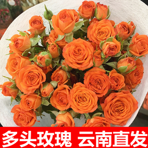 橙色芭比多头玫瑰鲜花花束