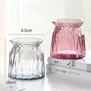 欧式玻璃瓶透明玻璃花瓶容器薄荷绿萝水培植物花盆圆水养小号器皿