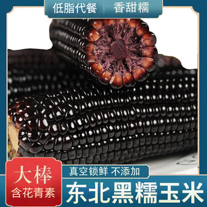 黑玉米真空包装黑糯玉米新鲜东北黑糯玉米真空玉米甜糯玉米