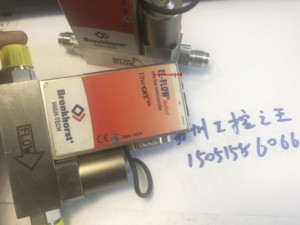 Bronkhorst RUR-013F 二手仪器 拆机9成新 功能完好 顺丰包邮