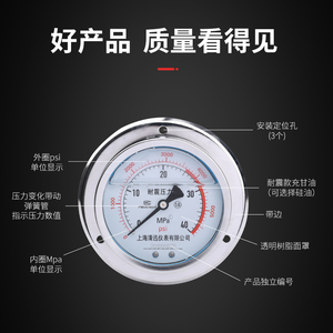 YN100ZT耐震压力表 轴向带边固定式 气压水压油压液压测量