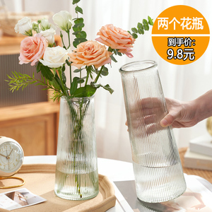 北欧透明玻璃花瓶两件套，水养百合富贵竹，客厅插花优雅摆件