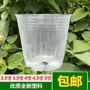 蝴蝶兰专用营养杯 透明塑料花盆 兰花栽培育苗容器