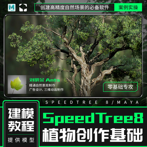 SpeedTree 8零基础视频教程：植物创作实战案例，翼狐热卖推荐