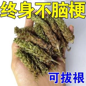 脑梗塞特效药：颈动脉斑块消融，血管疏通，中风康复神器