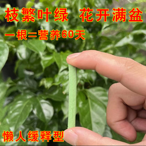 植物营养棒缓释肥料 盆栽花卉通用型家用促开花绿叶长效肥