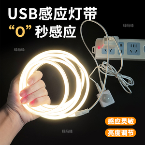 USB接口智能感应LED灯带 插电无光斑床底夜灯 硅胶柔性鞋柜衣柜灯