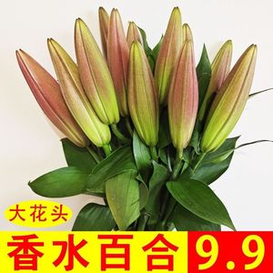 云南昆明直发香水百合玫瑰花束 新鲜两用花束 同城速递全国包邮