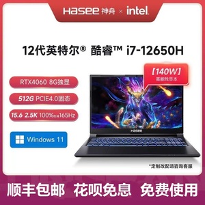 神舟战神Z8 2024款游戏本 RTX4060独显 13代i7处理器 1TB固态 2.5K屏