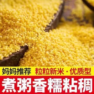 陕北米脂黄小米 2024年新米 农家自产 浓香小米粥 五谷杂粮 3斤装