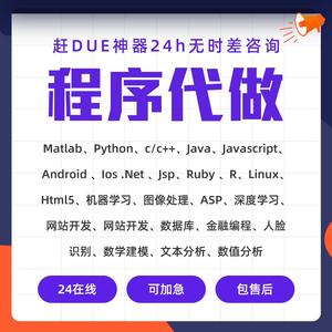 专业编程服务：Java/C++/Matlab/Python/PHP/Qt/C#代码定制开发