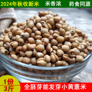 2024新货贵州兴仁小粒黄薏米500g*3袋 薏仁米五谷杂粮黄薏苡仁