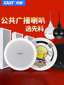 先科S1同轴天花吊顶吸顶音箱 店铺商场专用 家用背景音乐音响