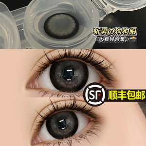 【官方正品】狗狗眼美瞳半年抛 超大直径14.5mm 自然扩瞳黑年抛隐形眼镜