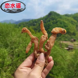 伏牛山农家自晒干黄精 中药材500g 质子肉糯头 黄精茶 非野生