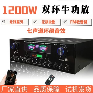 大功率5.2蓝牙HIFI功放机 家用KTV唱歌卡拉OK音频放大器 支持U盘收音机