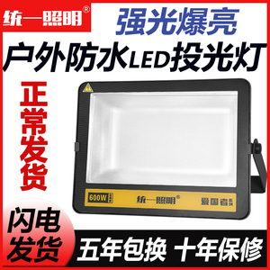 大功率LED户外照明投光灯 庭院室外防水探照路灯 工程厂房专用射灯