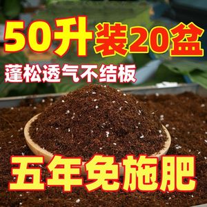 进口营养土家用养花种菜多肉通用型专用有机土壤花泥