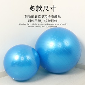 成人超大彩色感统锻炼弹力橡皮瑜伽球 儿童玩具大号软胶球