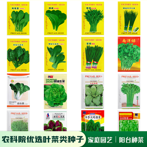 叶菜种子大全：香菜小葱韭菜菠菜等易种蔬菜种籽