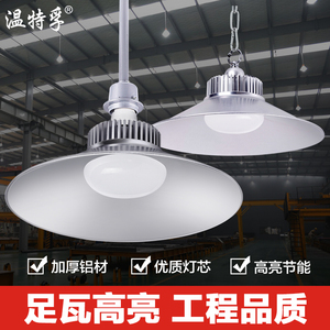 温特孚LED工矿灯 60W-100W 超亮厂房仓库车间照明吊灯 工厂专用灯