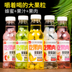 大果粒果肉果汁饮料450ml整箱15瓶 多口味嚼着喝果汁饮品 蜂蜜菠萝葡萄荔枝蜜桃味