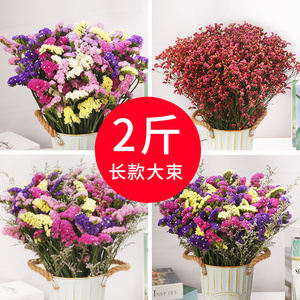 云南真花风干满天星勿忘我干花花束客厅装饰摆件批发