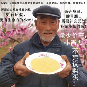 山东特产沂蒙山农家山地春播小米 米油醇厚 营养丰富 口感细腻