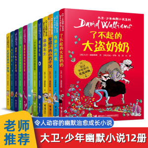 大卫少年幽默小说系列12册 臭臭先生与了不起的大盗奶奶 儿童文学三四五六年级必读课外书