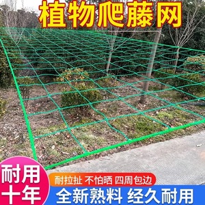 多功能植物爬藤网 黄瓜丝瓜百香果攀爬网 瓜蒌搭架网