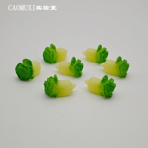 微缩景观摆件 迷你小白菜仿真蔬菜DIY桌面装饰 树脂微景观模型