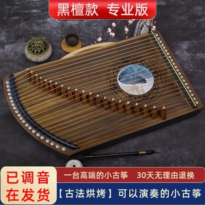 黑檀实木古筝练指器 21弦便携式初学者专业指法迷你小古筝