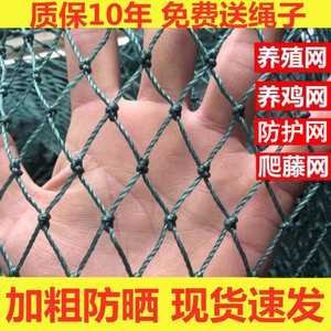 高品质尼龙养鸡网 拦鸡网 养殖专用渔网 菜园围网 鸡舍围栏网