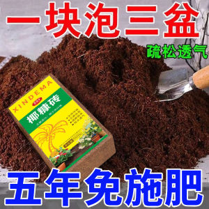 通用型脱盐椰砖营养土 大块椰糠土 适用于种菜养花乌龟冬眠