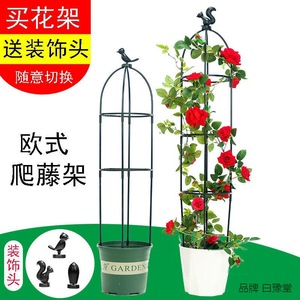 园艺藤本月季玫瑰爬藤植物U型支撑架盆栽花架支柱