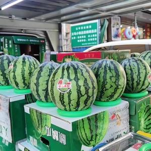 加厚塑料西瓜固定圈水果陈列防滑底座固定器投掷套圈