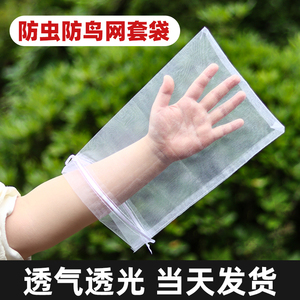 水果保护专用网袋-防虫防鸟套袋适用于西瓜草莓无花果番石榴番茄