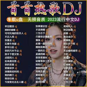 2025抖音热门中文DJ车载U盘 无损高音质MP3舞曲音乐优盘
