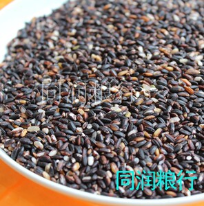 2023年新货血糯粗粮500g黑糯米散装正宗血糯米