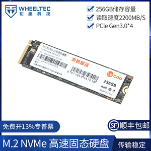 M.2 NVMe高速SSD固态硬盘 256GB大容量 兼容Jetson Orin Nano传输储存