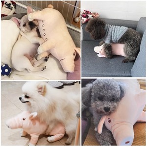 耐咬狗狗毛绒发声玩具 小型犬柴犬泰迪柯基磨牙解闷神器