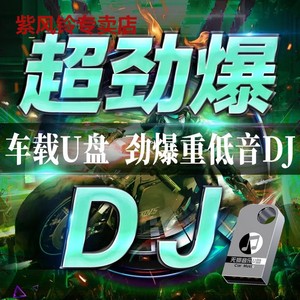 2023夜店劲爆DJ舞曲 无损高音质汽车载U盘 热门车用音乐优盘