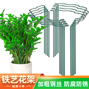 多功能植物支撑架 花架固定杆 防倒伏爬藤支架 适用龟背竹金钱树