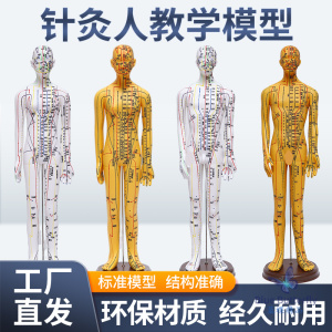 中医针灸教学铜人模型 全身十二经络穴位图 可扎针练习人体模型