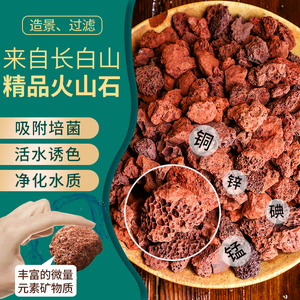 火山石颗粒养花专用 多肉兰花盆铺面石 透气火山岩 石斛兰花乌龟鱼缸装饰