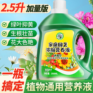 通用型植物营养液 花肥 发财树富贵竹绿萝专用 水培盆栽家用花卉绿植肥料