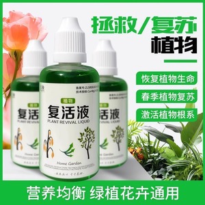 植物花卉复活液-光杆发黄掉叶专用-快速生根壮苗活性液