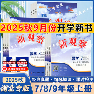 2025秋湖北专版数学新观察七八九年级上册人教版同步训练测试卷含答案