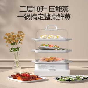 天际家用大容量三层多功能电蒸锅 小型蒸汽箱早餐蒸菜神器电蒸笼